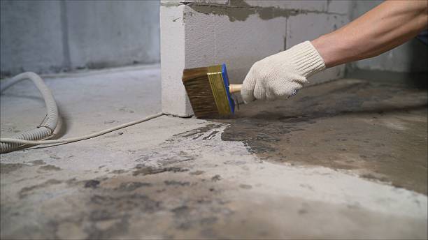 SJ Waterproofing Pros Waterproofing coverage map for Whites Creek, TN and surrounding area